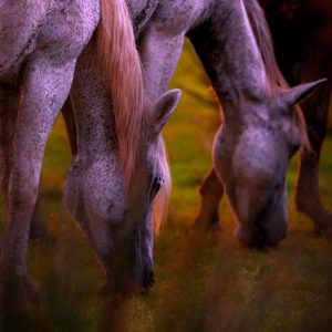 دانلود اهنگ لاو لترز نامه های عاشقانه از آرمی ها